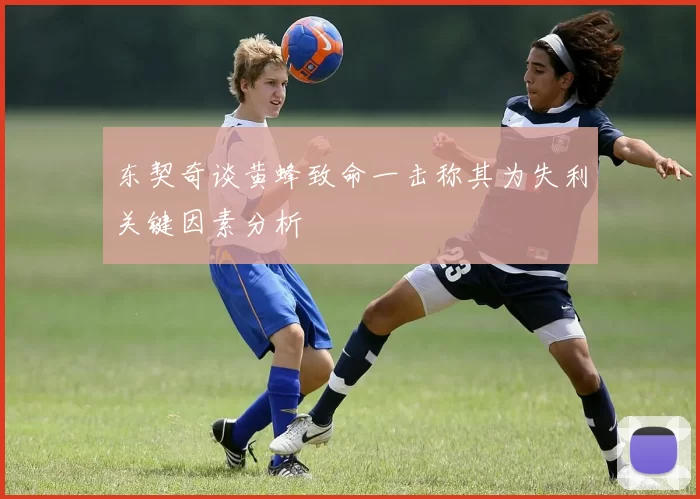 东契奇谈黄蜂致命一击称其为失利关键因素分析
